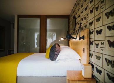 1713168032098 TF Room 1 2021 3